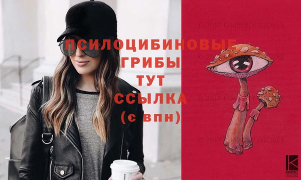 эйфоретик Алзамай