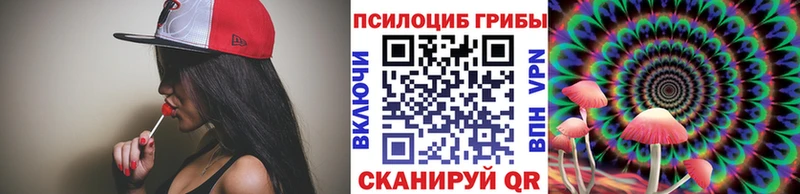 площадка состав Нестеровская Псилоцибиновые грибы мухоморы ссылка на мегу ссылка
