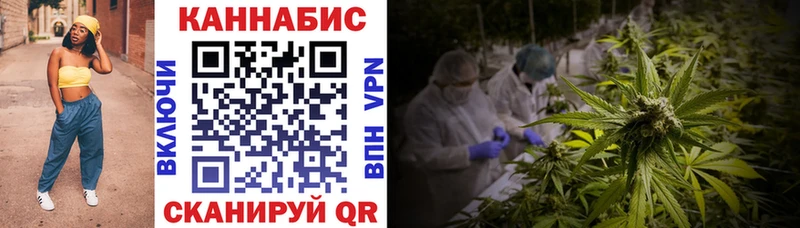 Конопля план Нестеровская